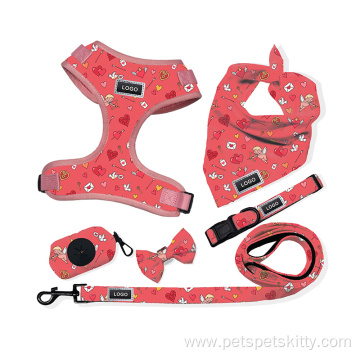 Adjustable Faux leather Pet Collar And Leash Set